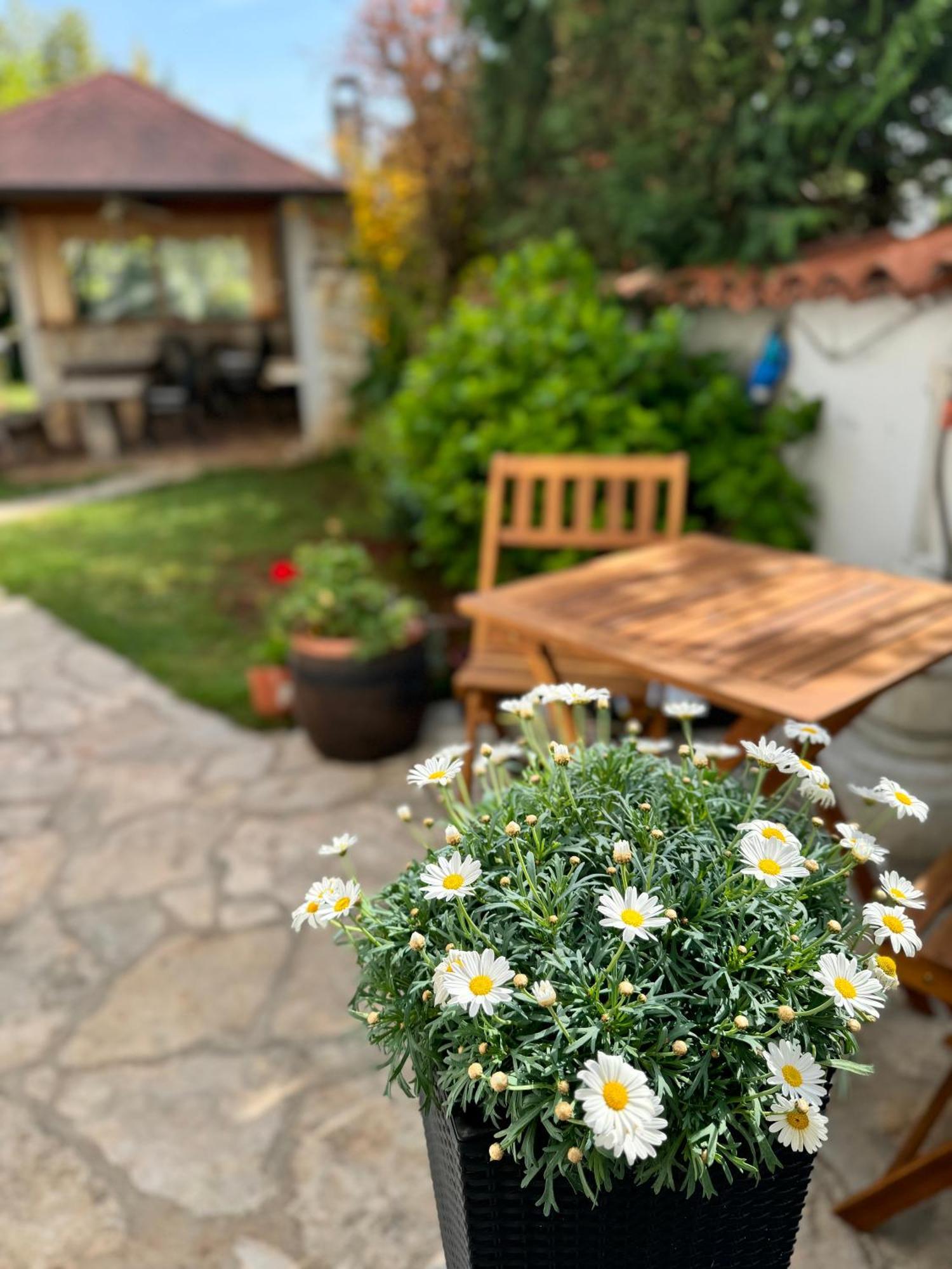 Castelli Apartment Umag Dış mekan fotoğraf